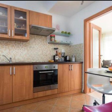 Old Town Apartment Pellicova Brno Extérieur photo