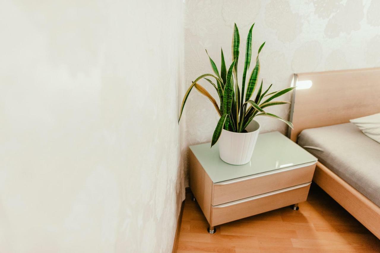 Old Town Apartment Pellicova Brno Extérieur photo